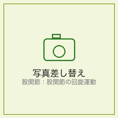 股関節の回旋運動
